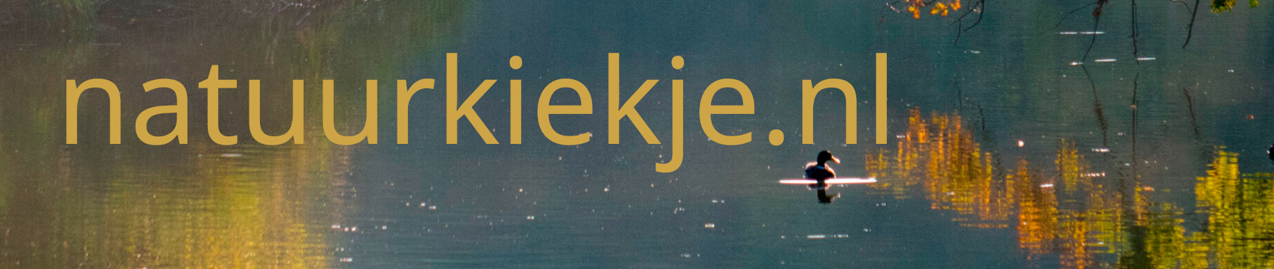 natuurkiekje