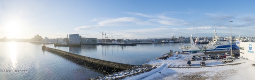 Haven Reykjavik